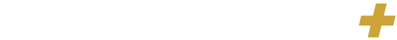 Gymnastics Plus