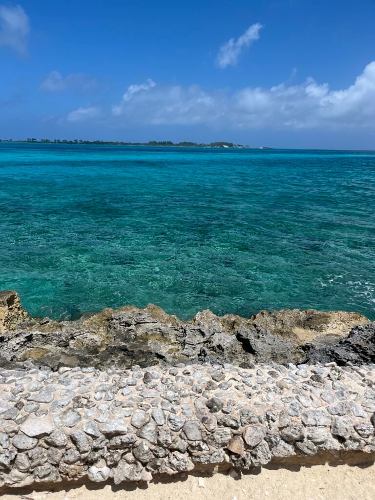 Cover Photo